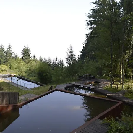 Casa de Férias Encosta Do Douro - Rio Douro