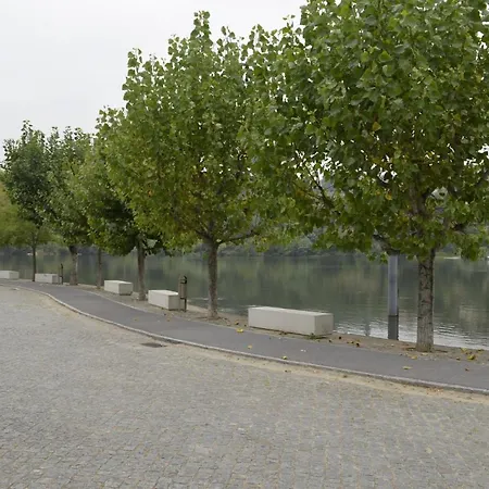 Encosta Do Douro - Rio Douro Casa de Férias Cinfães