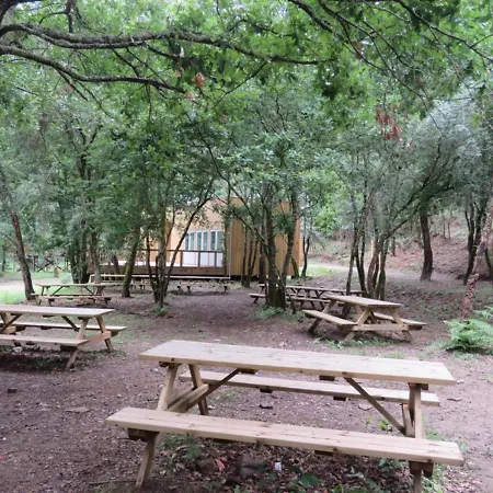 Encosta Do Douro - Rio Douro * Cinfães