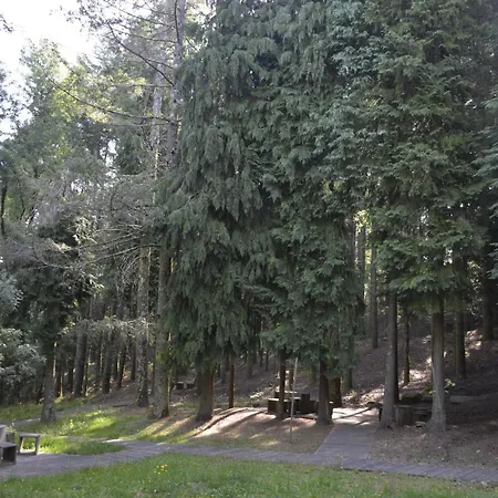 Feriehus Encosta Do Douro - Rio Douro Cinfães