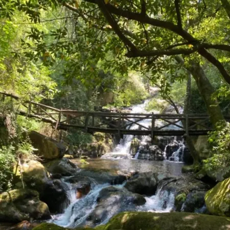 Encosta Do Douro - Rio Douro Vakantiehuis Cinfães