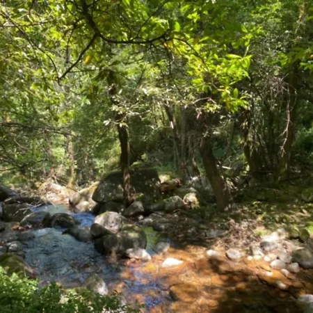 Feriehus Encosta Do Douro - Rio Douro