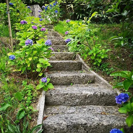 Encosta Do Douro - Rio Douro Cinfães