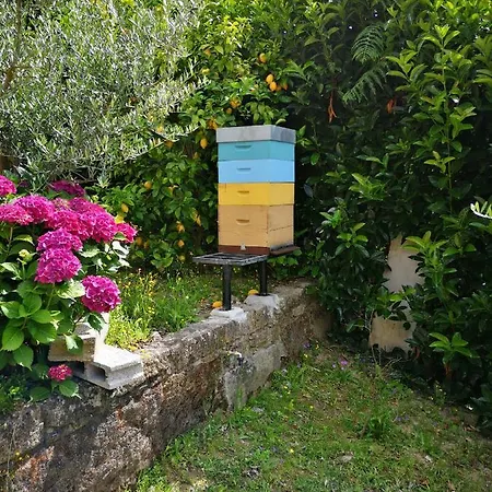 Encosta Do Douro - Rio Douro Vakantiehuis Cinfães