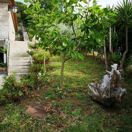 Feriehus Encosta Do Douro - Rio Douro *