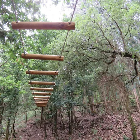 Feriehus Encosta Do Douro - Rio Douro Cinfães