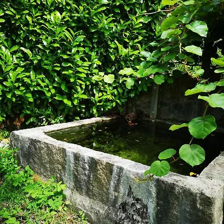 Encosta Do Douro - Rio Douro