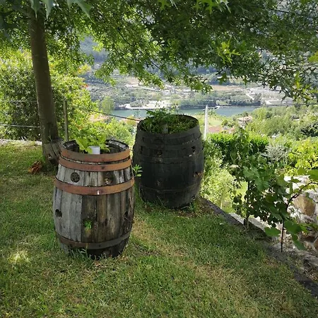 Nyaraló Encosta Do Douro - Rio Douro Cinfães