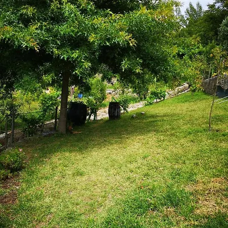Encosta Do Douro - Rio Douro Ferienhaus *