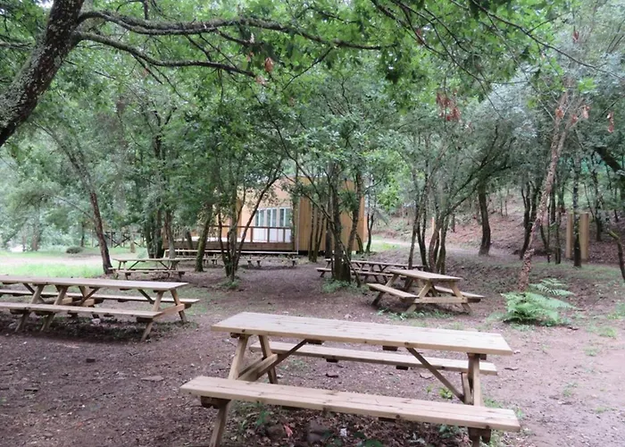 Encosta Do Douro - Rio Douro * Cinfães