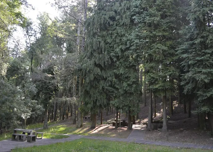 Prázdninový dům Encosta Do Douro - Rio Douro Cinfães