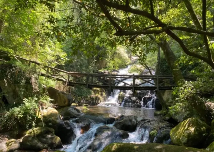 Encosta Do Douro - Rio Douro Casa de Férias Cinfães