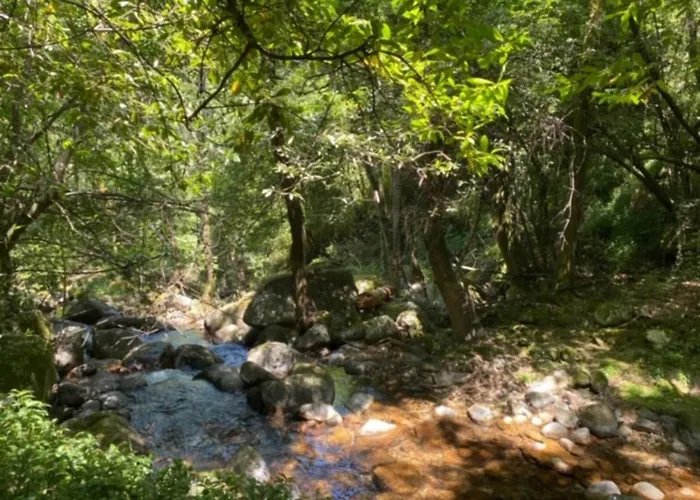 Prázdninový dům Encosta Do Douro - Rio Douro