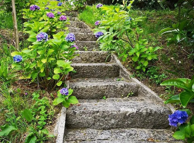 Encosta Do Douro - Rio Douro Cinfães