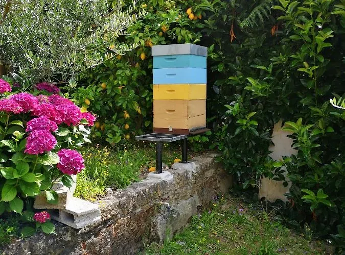 Encosta Do Douro - Rio Douro Ferienhaus Cinfães