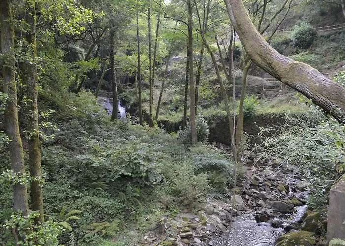 Encosta Do Douro - Rio Douro Prázdninový dům Cinfães