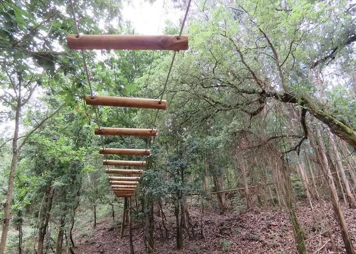 Ferienhaus Encosta Do Douro - Rio Douro Cinfães