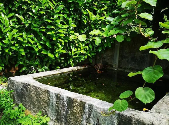 Encosta Do Douro - Rio Douro