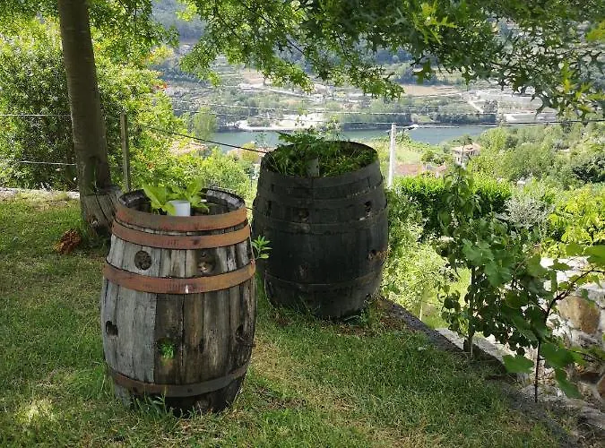 Ferienhaus Encosta Do Douro - Rio Douro Cinfães